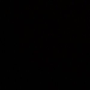 Meet your Posher, Cora